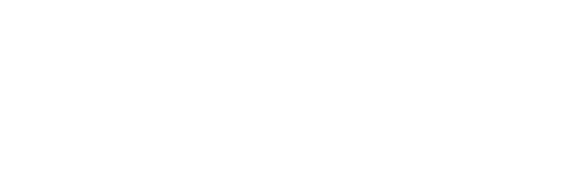 Logo de parasystem